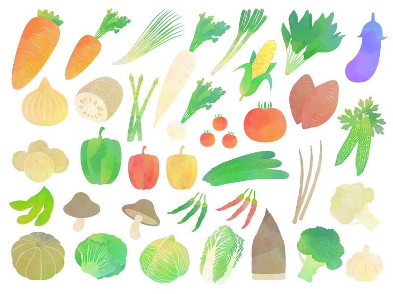 いろいろな種類の、野菜の水彩画の無料イラストセット | 無料・商用可