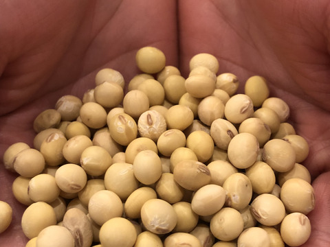 令和7年産】自然栽培「ふくゆたか大豆」200グラム（静岡県産）：静岡県