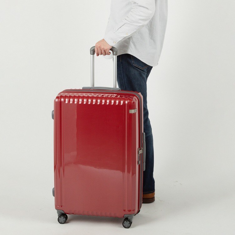 スーツケース 88/103L 大型 エキスパンド パリセイドZd ace. | ace