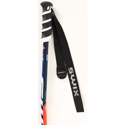 ヨドバシ.com - スウィックス SWIX ワールドカップジュニア GS JA115