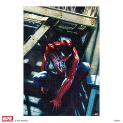 ヨドバシ.com - テンヨー Tenyo R-1000-642 スパイダーマン 親愛なる