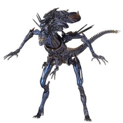 ヨドバシ.com - 海洋堂 KAIYODO 特撮リボルテック No.018 [エイリアン