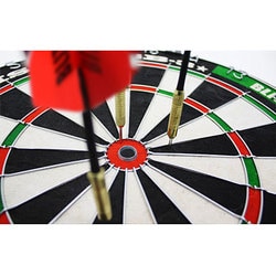 ヨドバシ.com - ビーズ株式会社 BLITZER BB-3 [ハードダーツボード The