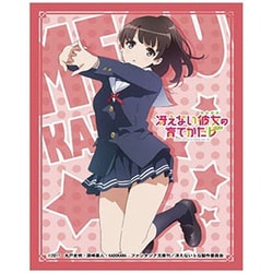 ヨドバシ.com - アクシア アクシア キャラクターカードスリーブ 冴え