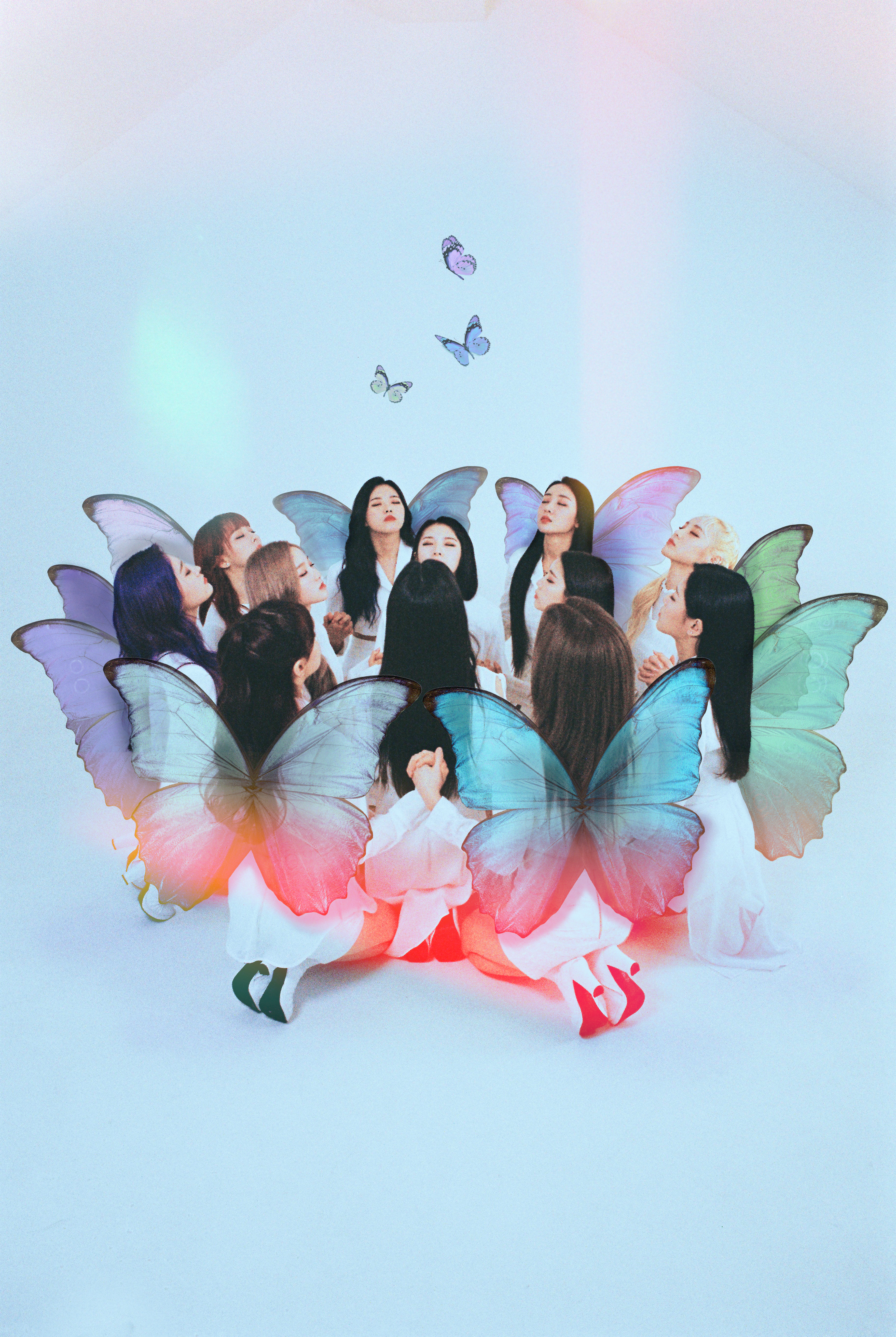 LOONA XX Butterfly 限定 Aver Limited Aver LOONA [X X] Limited A