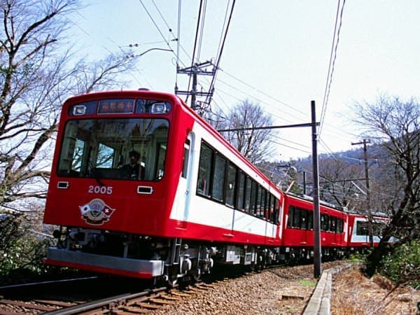 なぜ？どうして？スイスを駆け抜けた「箱根登山電車」の謎-- その雄姿