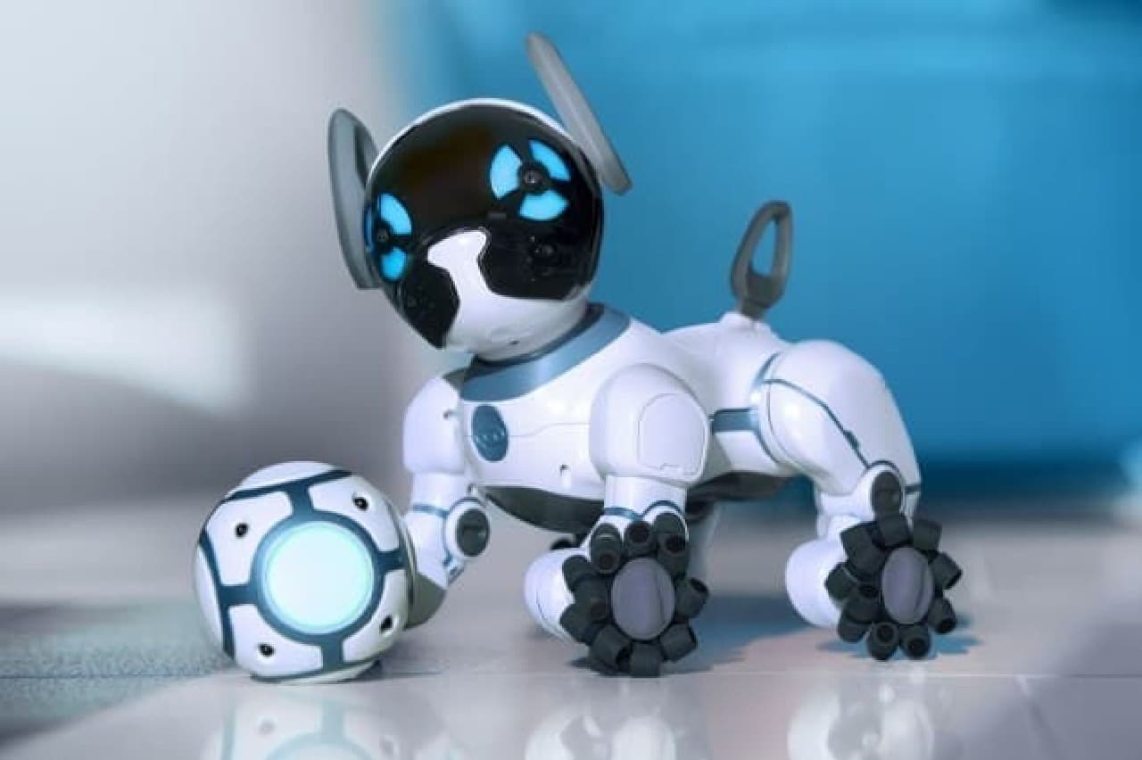 子犬とロボットが融合した新しい友達「Meet CHiP（ミート・チップ