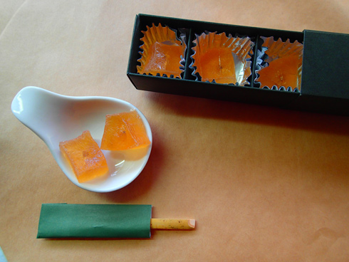 ジェラシックパークの初期作品を思い出す！虫入り琥珀！蚊のような昆虫