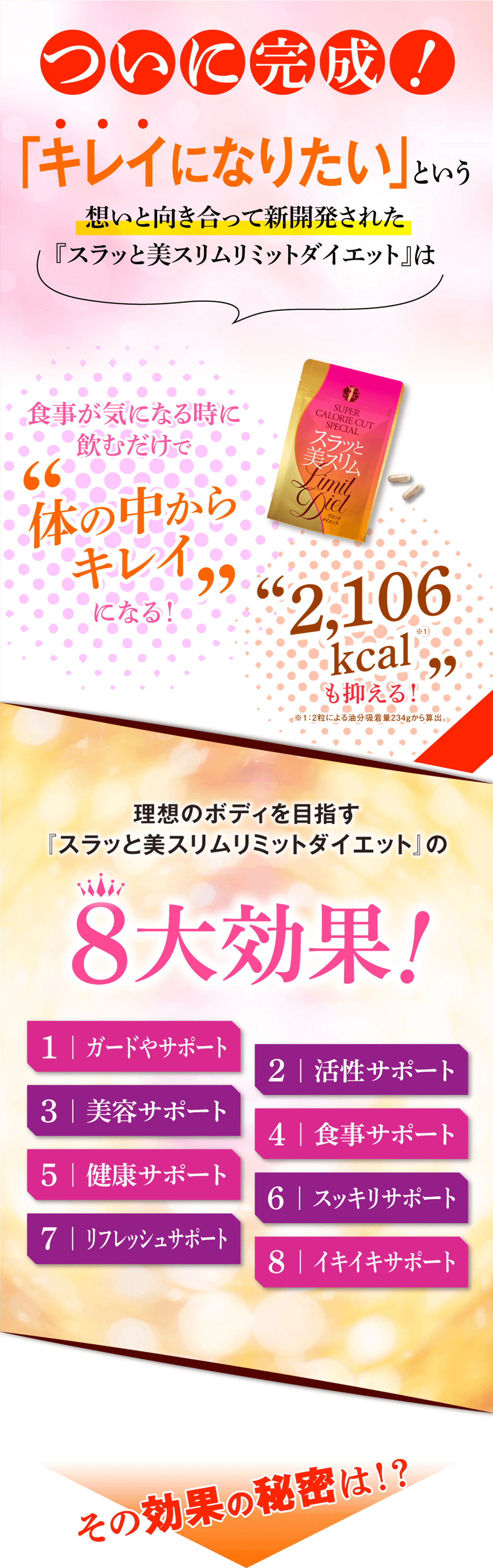 タメせる！H&Cプロダクツ「スラッと美スリムリミットダイエット（20日