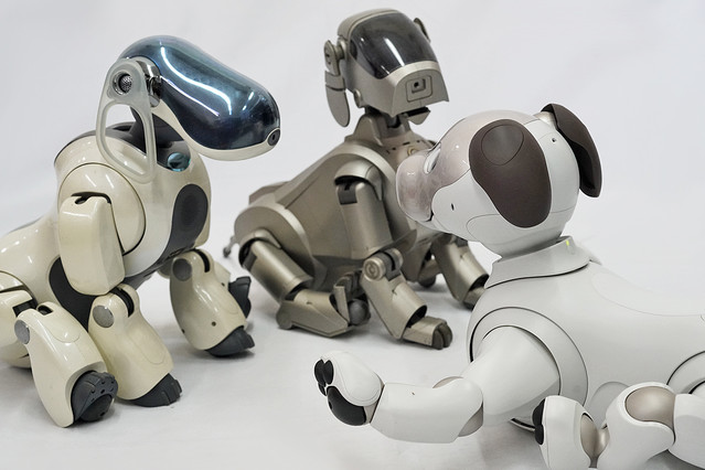 ソニーマニアの新aibo購入レビュー。旧AIBOオーナーも一発で落ちる可愛