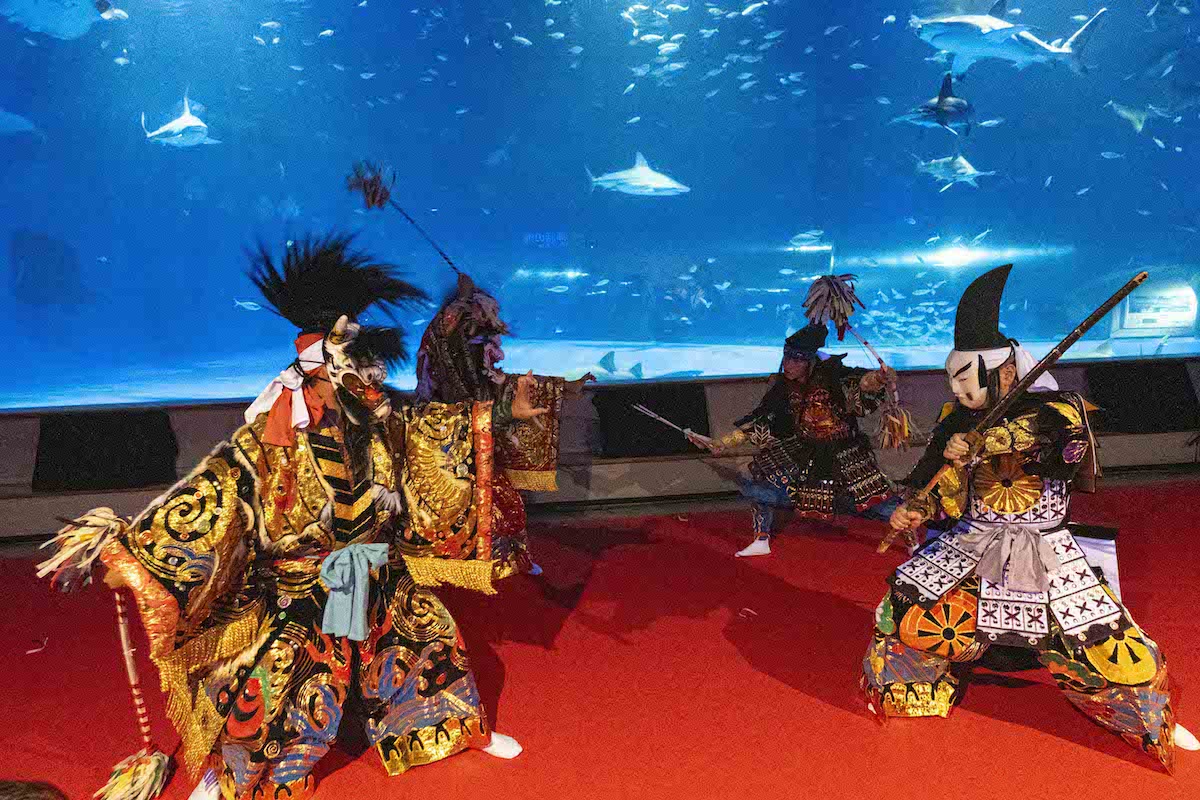 ナイトアクアス×石見神楽 煌めく神秘の夜」開催レポート！奇跡のコラボ