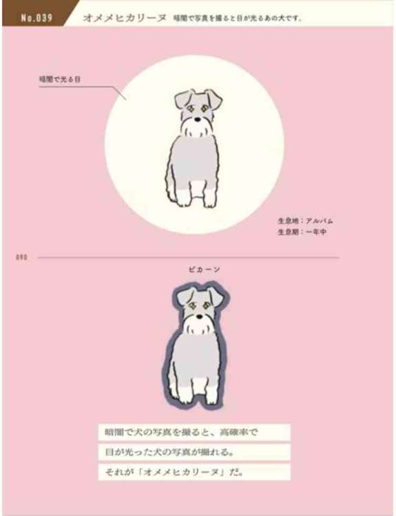 SNSで話題！愛犬家注目の作品がついに書籍化！『変な犬図鑑』 | PECO