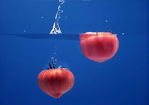 2026年3月より発送：予約商品】特選 大島トマト | 大島トマト農園