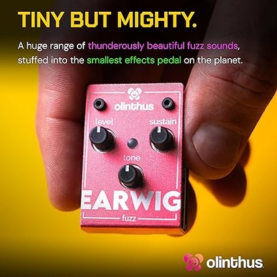 olinthus オリンサス エフェクター ファズ Earwig [入出力用ブレイク