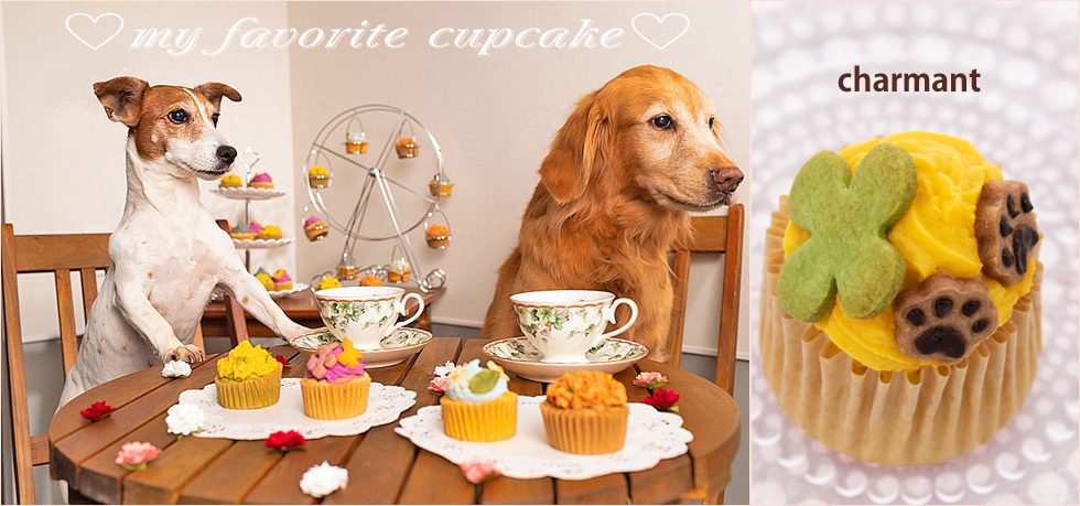 楽天市場】カップケーキ【シャルマン】 : 手作り犬ごはんM.dogstudio