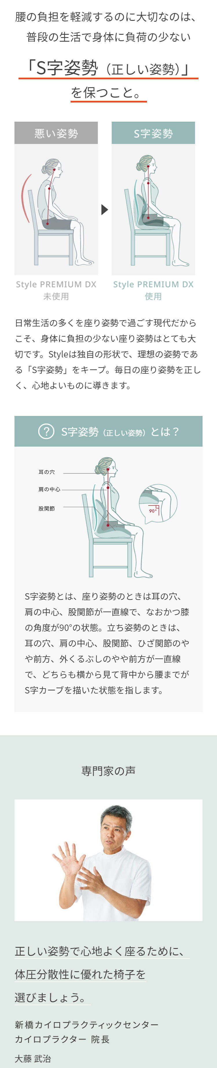 楽天市場】スタイルプレミアム デラックス Style PREMIUM DX ギフト