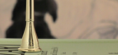 楽天市場】ティルツ ホルン マウスピース マク・ウィリアム(モデル