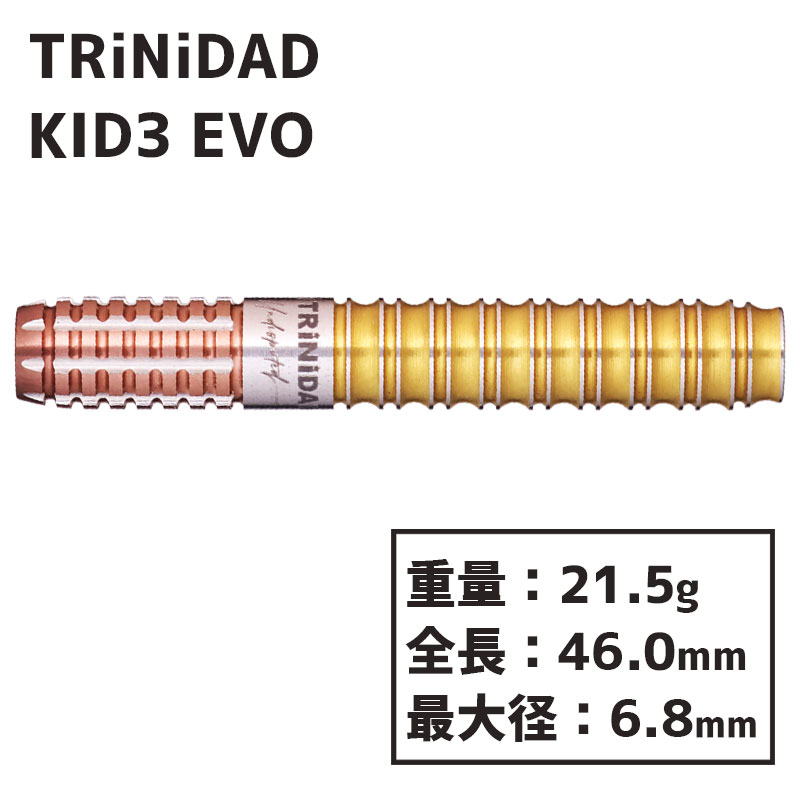 楽天市場】ダーツ キッド3 エボ TRiNiDAD KID TYPE3 EVO 後藤智弥