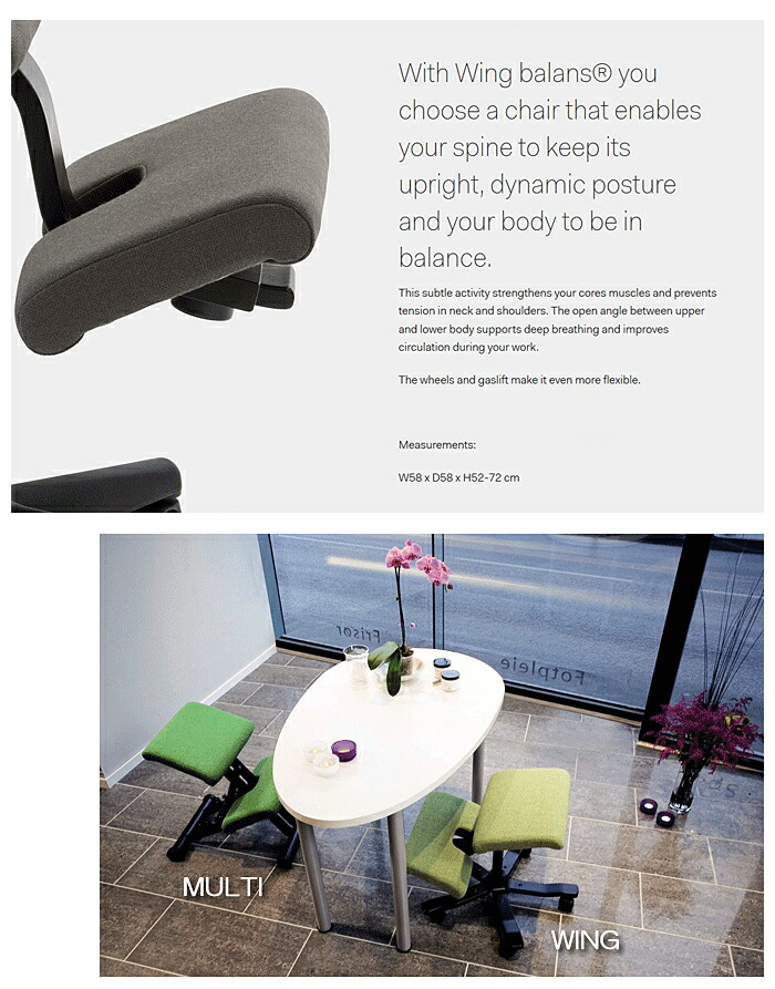 楽天市場】＼P9倍／ バランスウィング ブラック バランスチェア ヴァリ