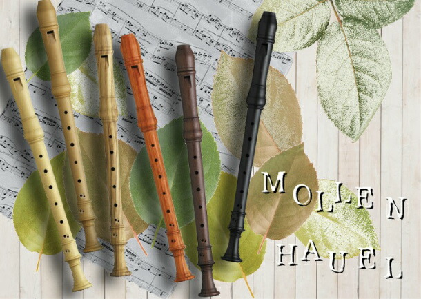 楽天市場】モーレンハウエル 定番機種【デンナー】 アルトリコーダー