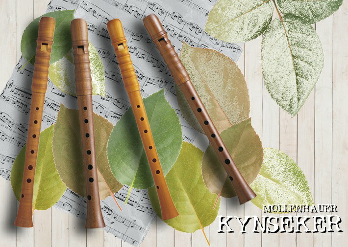 楽天市場】 リコーダー > モーレンハウエル > アルトリコーダー