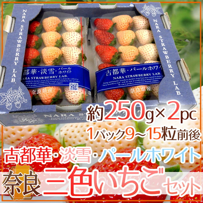 奈良県産 ”三色いちごセット” 2pc（1pcあたり9～15粒前後 約250g）古都