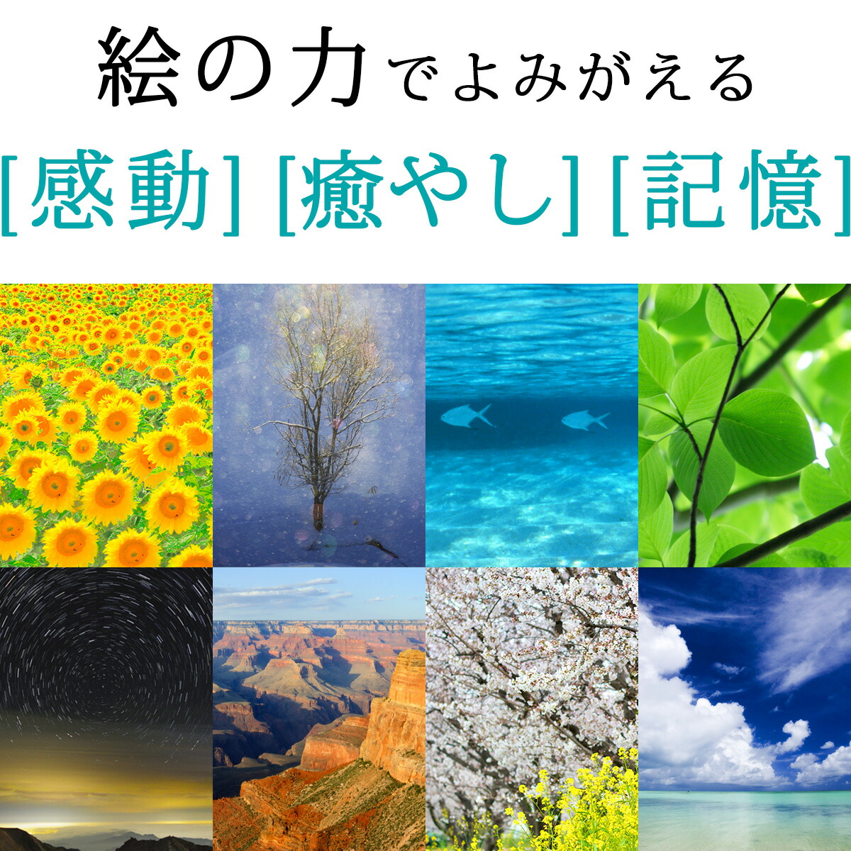 楽天市場】【スーパーSALE半額】川瀬巴水 日本画 版画 絵画 名画