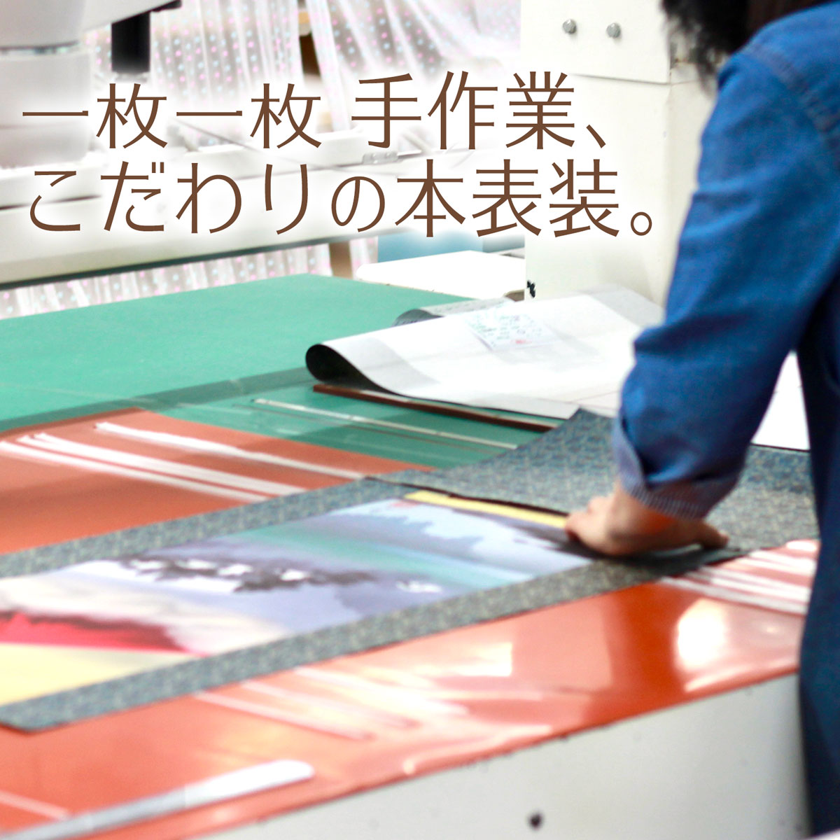 10年保証 掛け軸 花鳥画 年中掛け 四君子 田中 広遠 尺五 桐箱付き