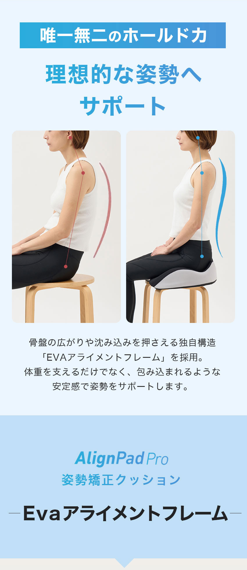 楽天市場】姿勢クッション 骨盤サポート 骨盤クッション 姿勢矯正