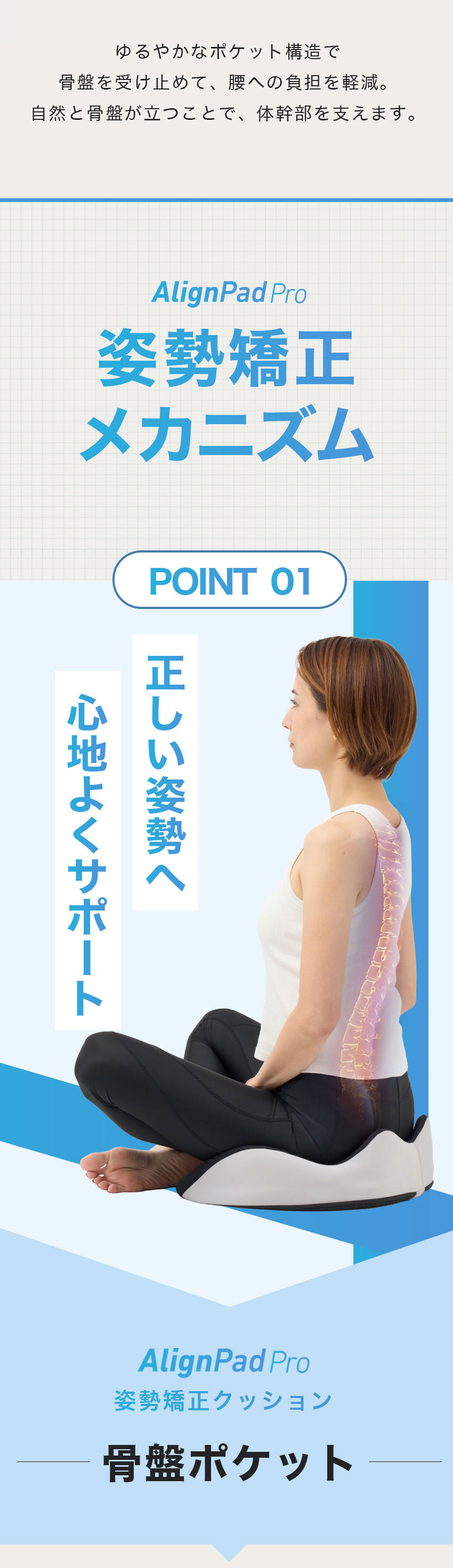 楽天市場】姿勢クッション 骨盤サポート 骨盤クッション 姿勢矯正