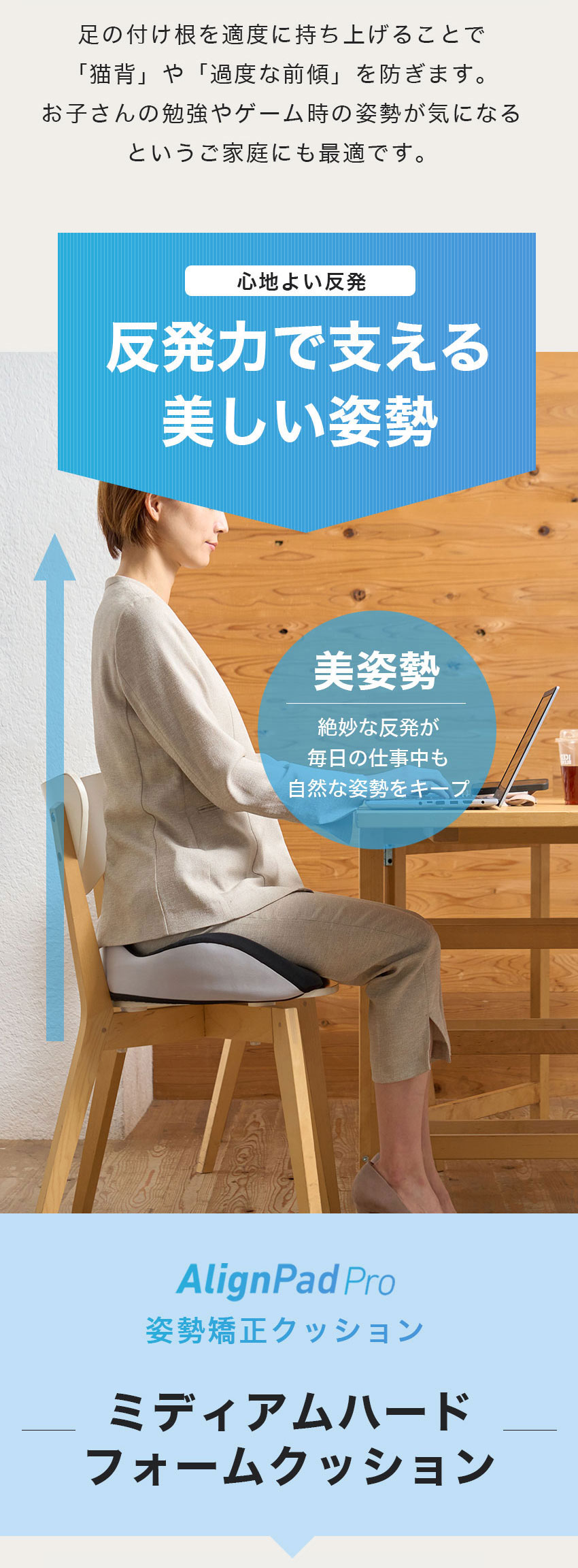 楽天市場】姿勢クッション 骨盤サポート 骨盤クッション 姿勢矯正