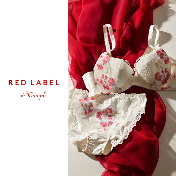 D70M トリンプ プレミアム 脇から寄せてやさしくフィット ブラ＆ショーツ 楽天市場】トリンプ triumph ブラジャー e70の通販