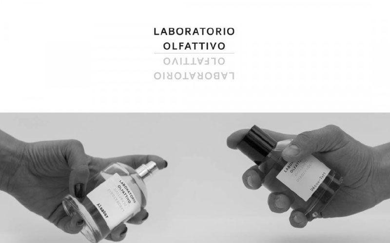 楽天市場】【先着限定☆最大1200円OFFクーポン（3/4 20:00