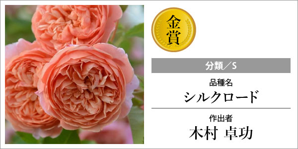 バラの家 公式本店 ロサオリエンティス【バラ苗 専門店】 ぎふ国際