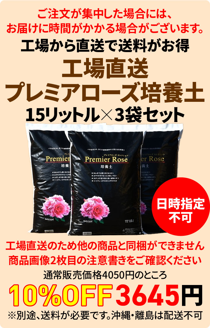 バラの家 公式本店 ロサオリエンティス【バラ苗 専門店】 期間限定セール