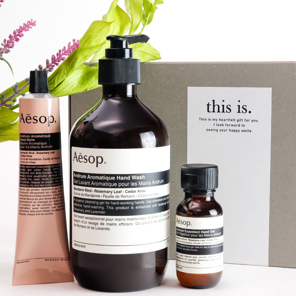 楽天市場】【 名入れ 】 イソップ ハンドソープ ギフト Aesop アン