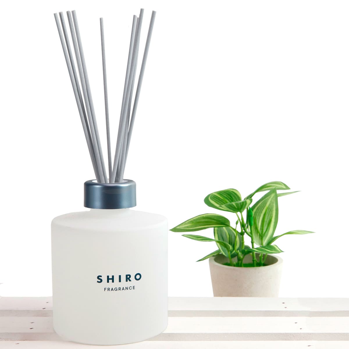 楽天市場】【P3倍】【期間限定 彩るお花付き】 shiro ルーム