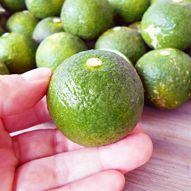 楽天市場】仏手柑 ぶしゅかん 5玉セット 高知産 土佐の酢みかん ご