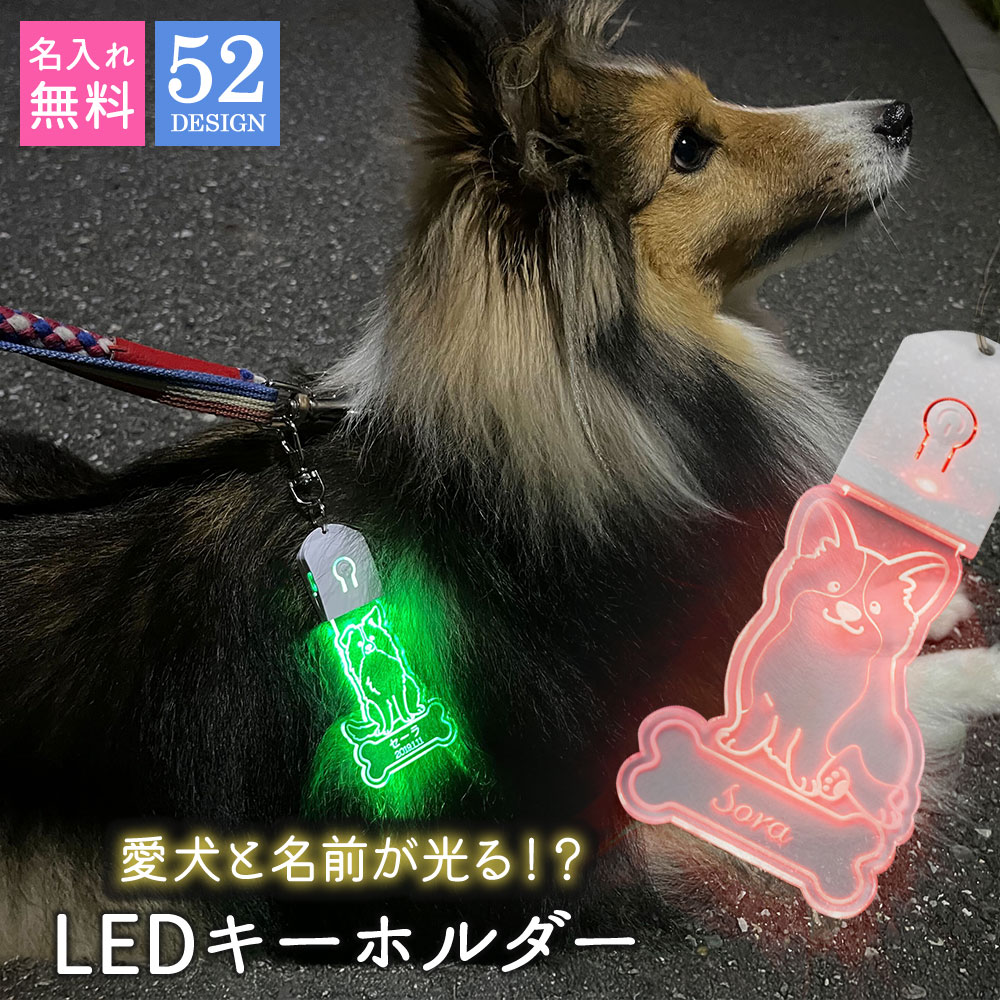 楽天市場】キーホルダー 迷子札 光る LED ペット 犬 リード 首輪