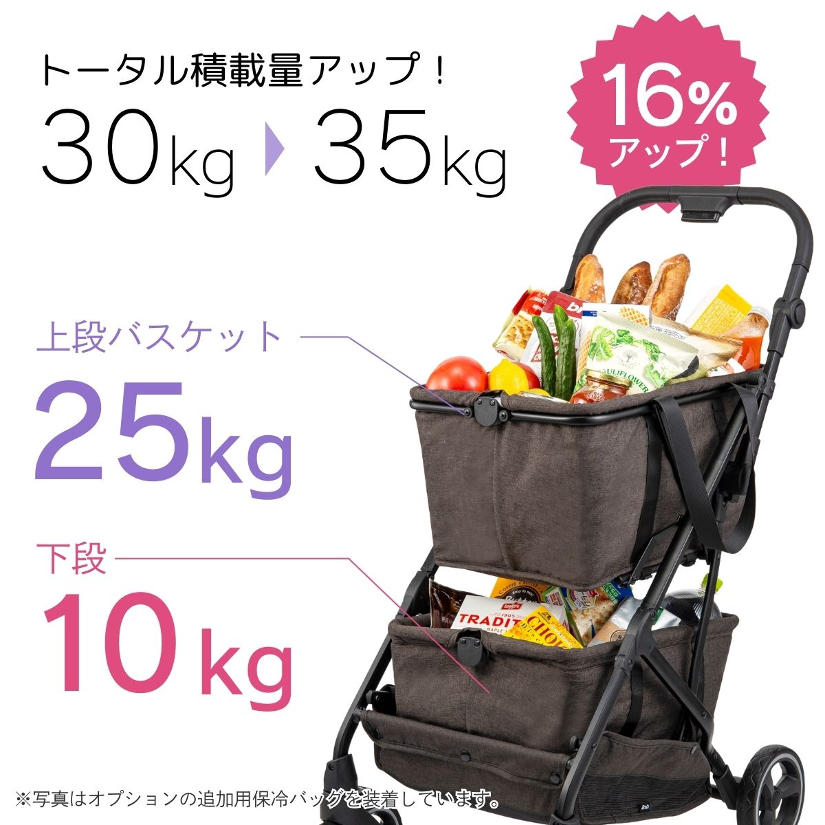 通常価格】Ecoca Excella エコカ エクセラ（本体＋保冷バッグ2個