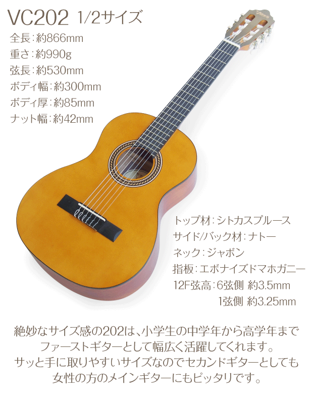 楽天市場】クラシックギター 初心者入門 12点セット Valencia VC201