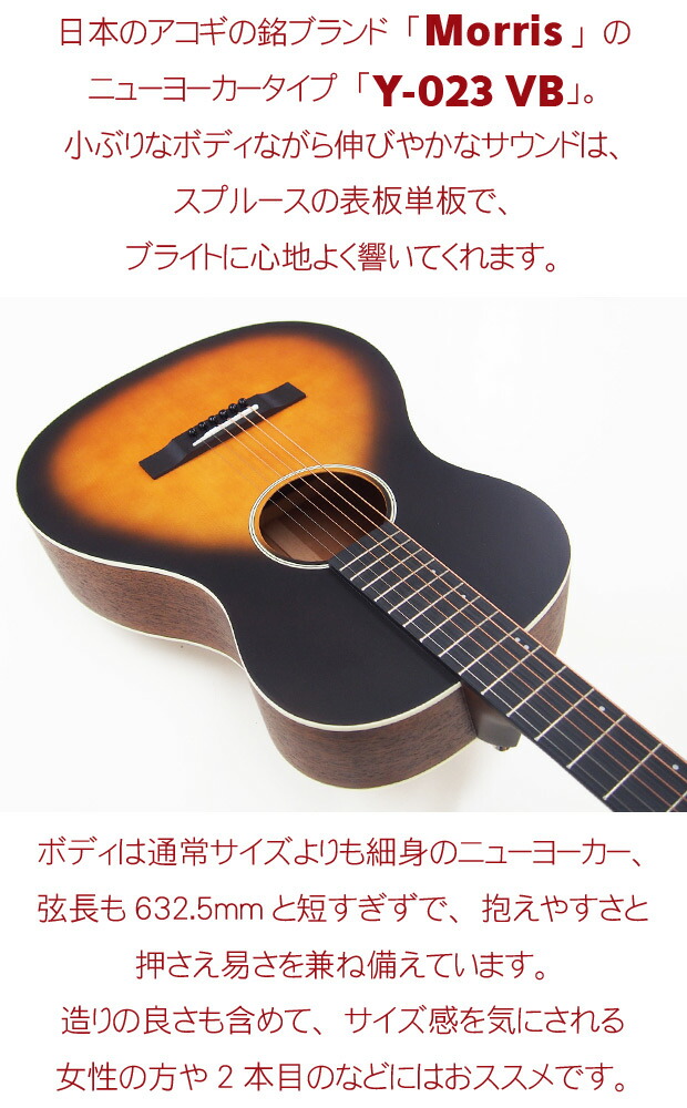楽天市場】Morris モーリス アコースティックギター Y-023 VB