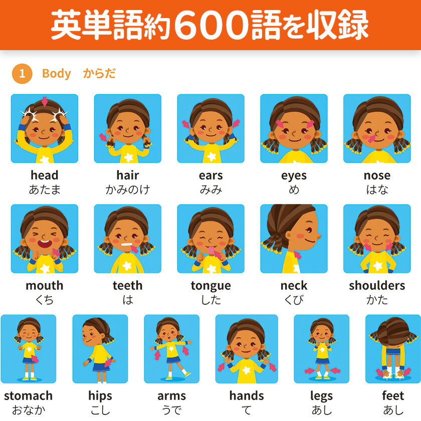 楽天市場】英単語フラッシュ DVD英語辞典 FOR KIDS ENGLISH Singsing