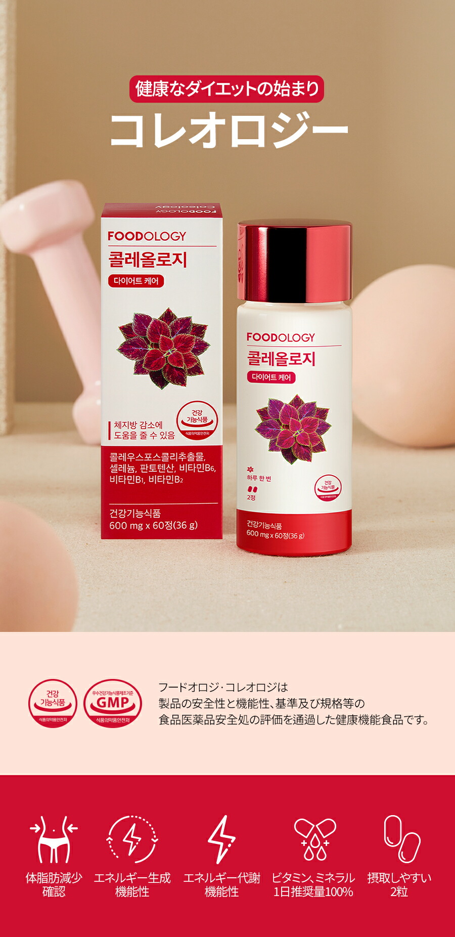 楽天市場】☆全商品20%OFF☆03/03 20時~ 03/11 08時☆【公式_フード