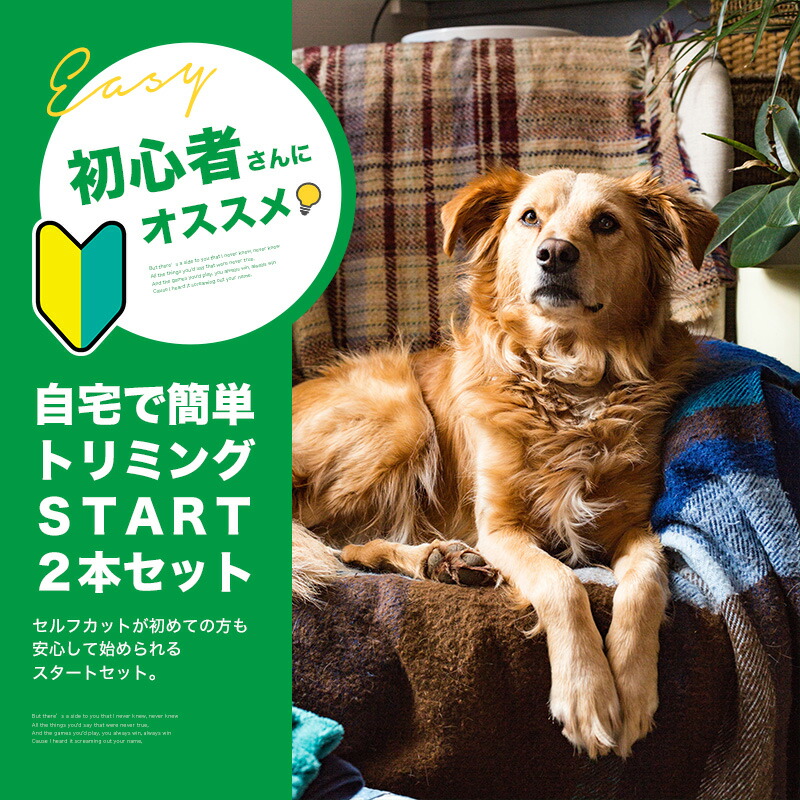 楽天市場】【楽天1位】 トリミングシザー 2本セット 初心者 ステンレス