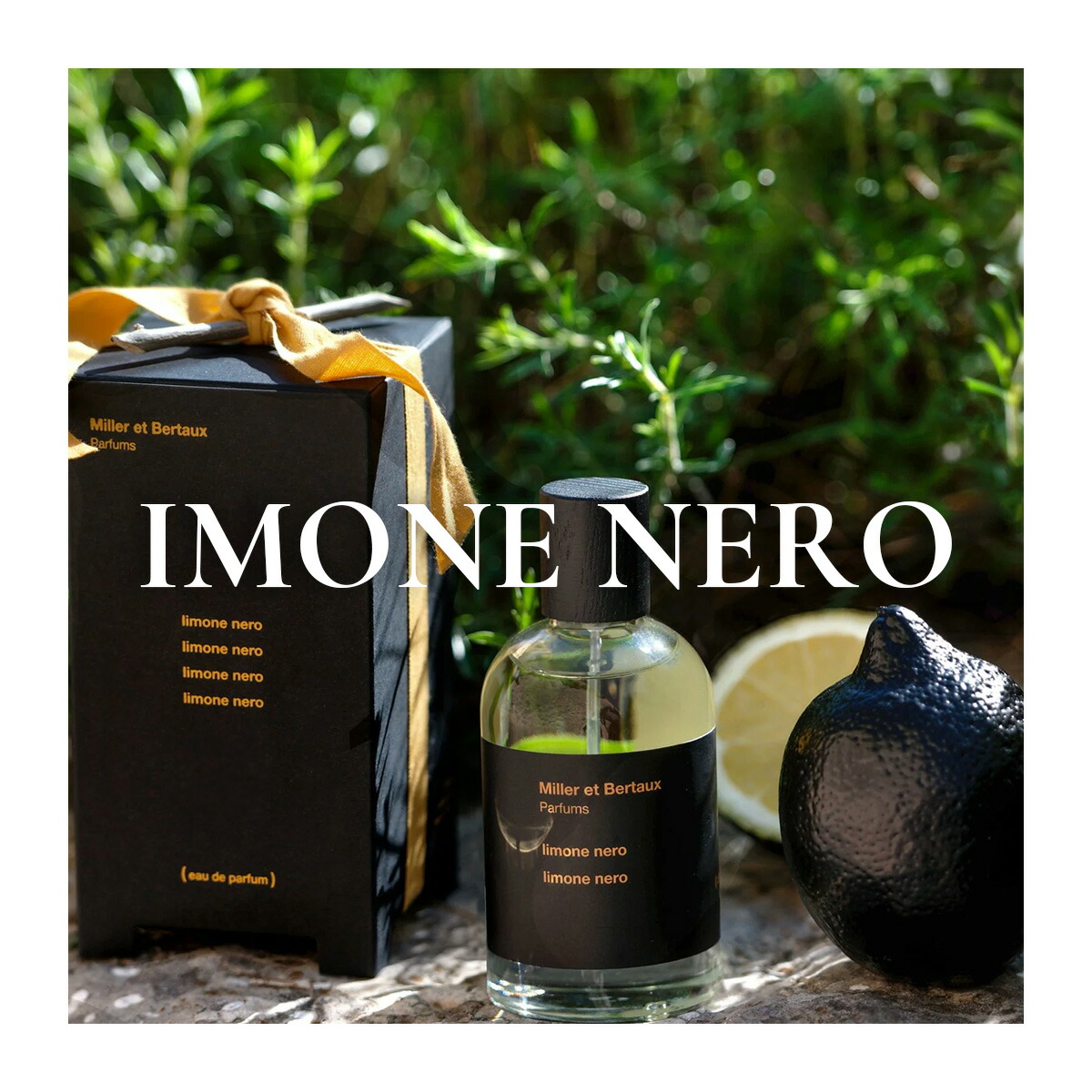 楽天市場】Miller et Bertaux 【オードパルファン香水100ml】 ＃1（for