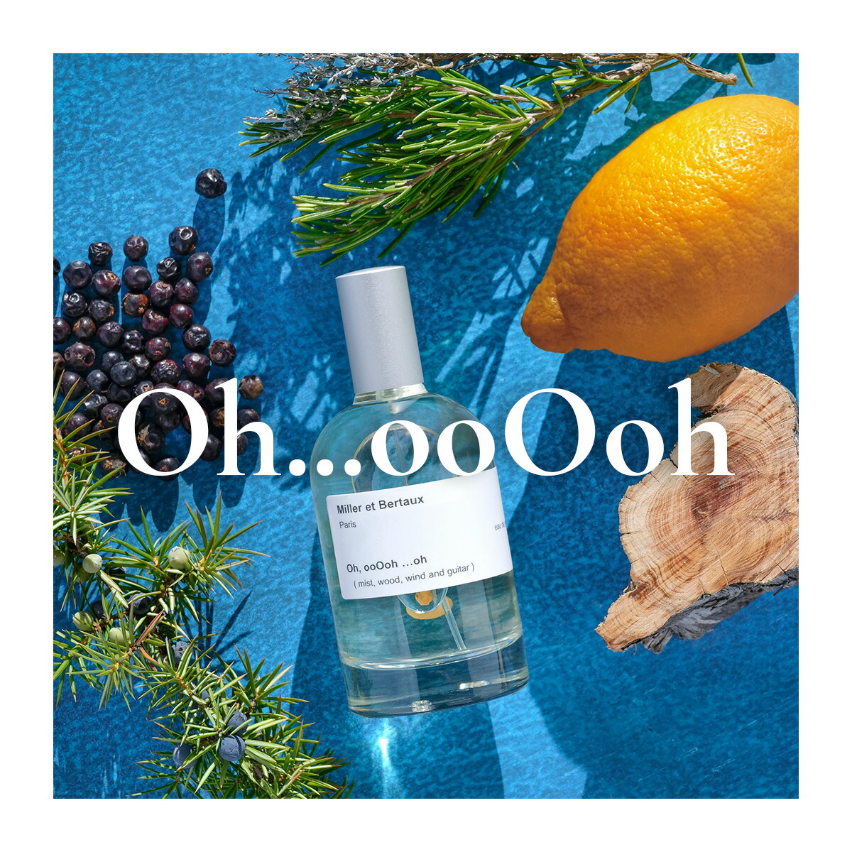 楽天市場】Miller et Bertaux 【オードパルファン香水100ml】 a quiet