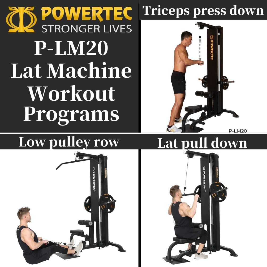 楽天市場】【日本総代理店】□ POWERTEC パワーテック 社製（USA) P