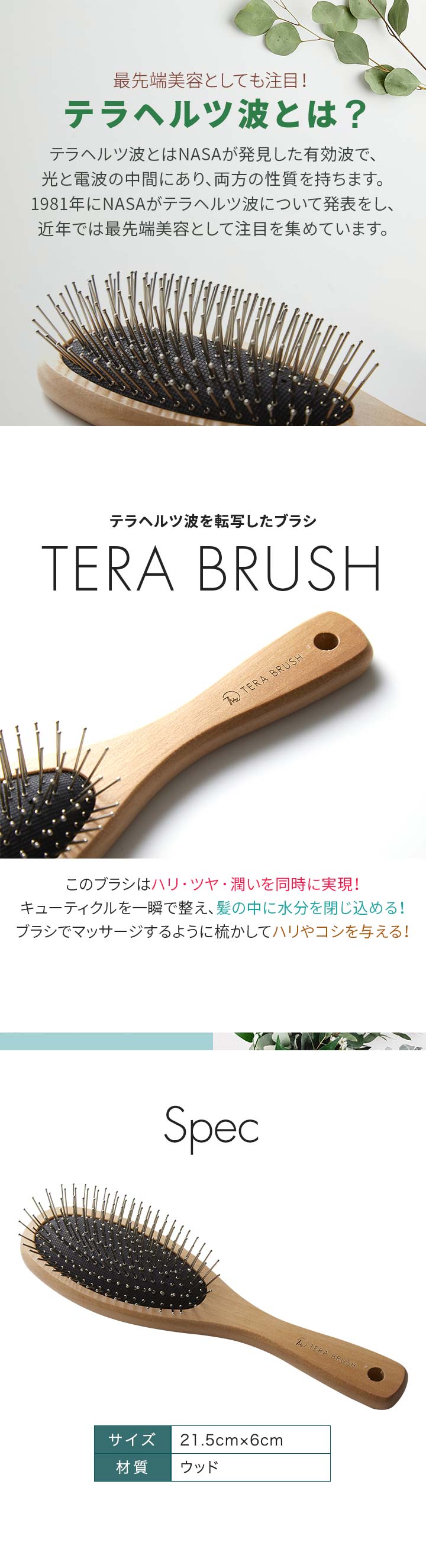 楽天市場】【楽天1位】正規品 TERA BRUSH テラブラシ 21.5cm 木製