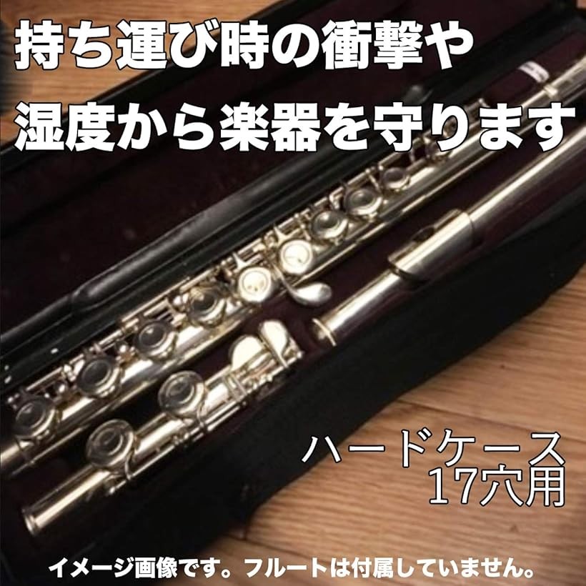 楽天市場】【楽天ランキング1位入賞】フルート ハードケース (17穴用